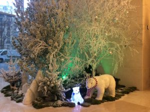 Ambiance Florale Noël - Macif